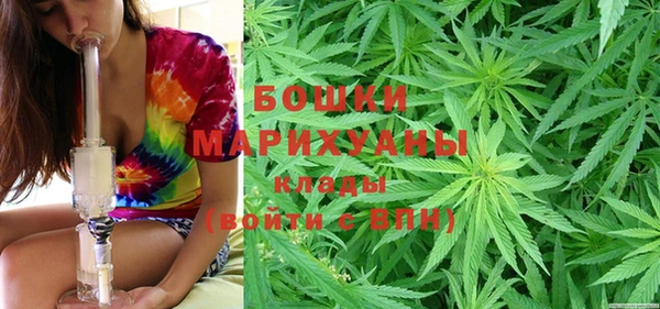 трава Балахна