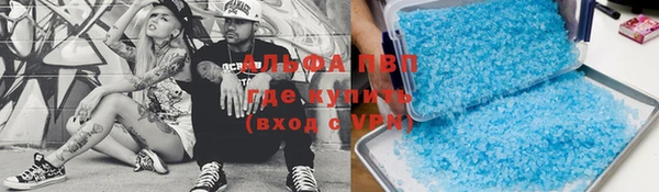 трава Балахна
